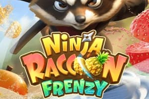 닌자 Raccoon Frenzy